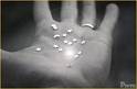 20061231163605-etoile.jpg
