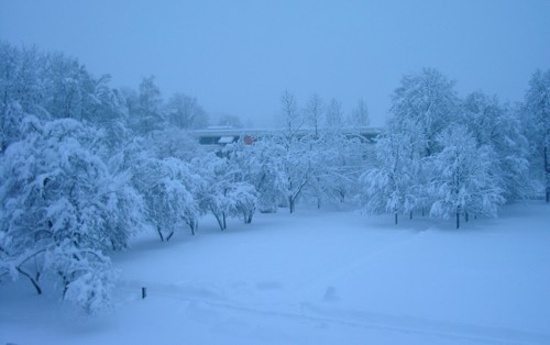 20071020105704-20060306-schnee.jpg