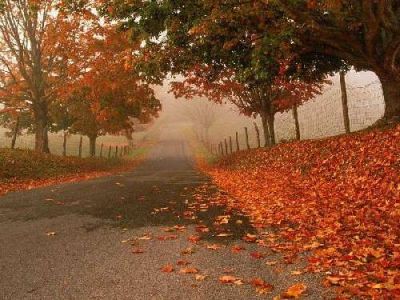 20081023155346-normal-otono.jpg