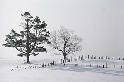20081201145706-neige.jpg