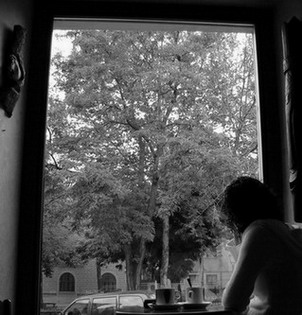 20090709150332-20070120041340-por-la-ventana.jpg