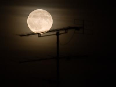 20090805100036-mond.jpg